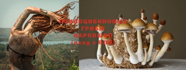 гидропоника Нефтегорск